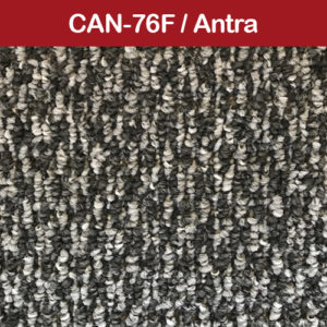 CAN-76F Antra